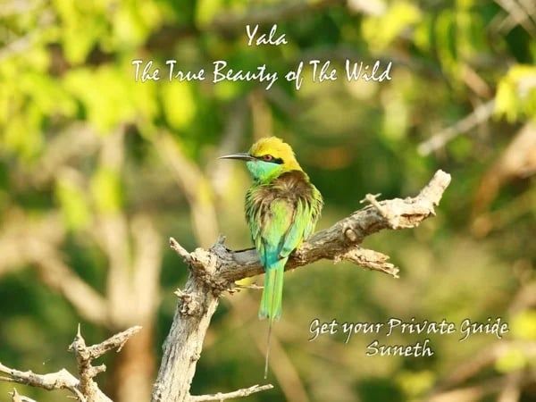 Cover media image