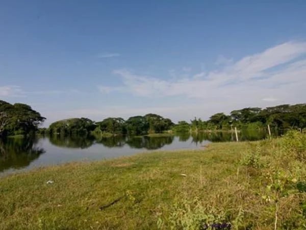 Kinta Valley - Full Day Private Tour (from Ipoh)