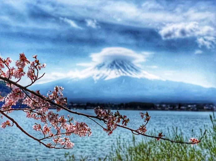 Minami E.'s gallery