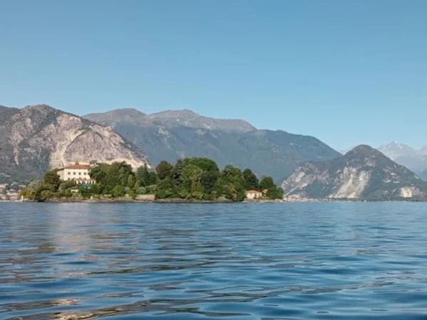 Cover media image