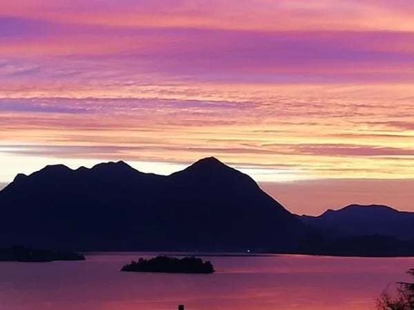 Cover media image