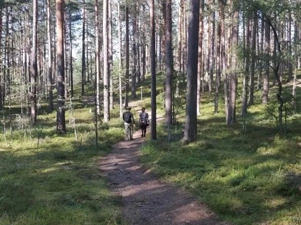 Go Wild - Tallinn Nature Half Day Tour