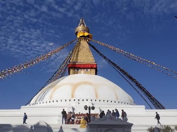Cover media image