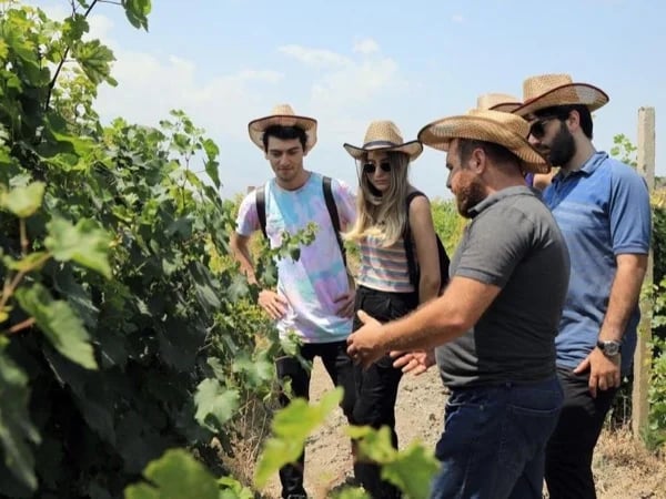 Pivate tour: Khor Virap & Mount Ararat Wine Tasting