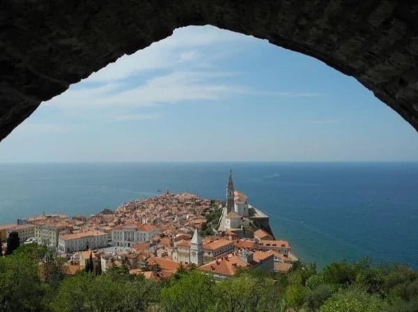 Cover media image