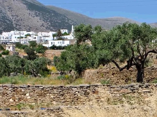 A labyrinth of Settlements - Sifnos Private Tour