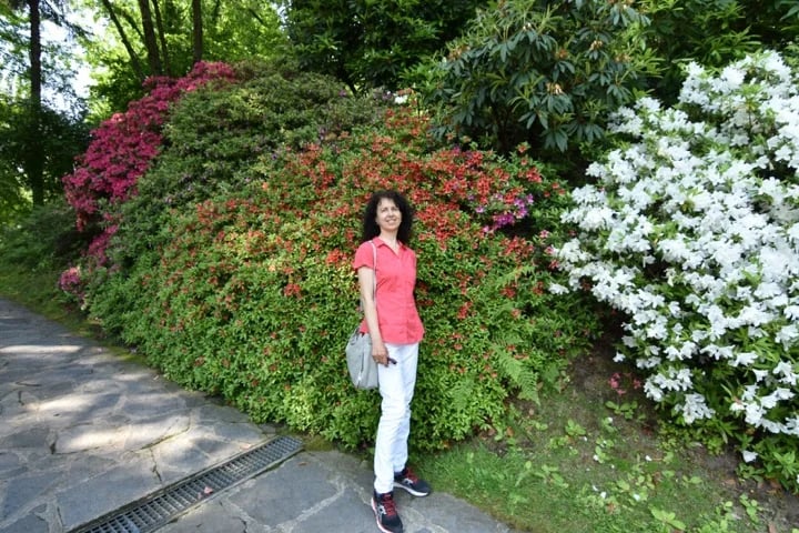 Among azaleas