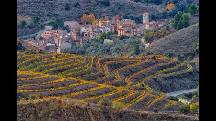 The Priorat region Vineyards
