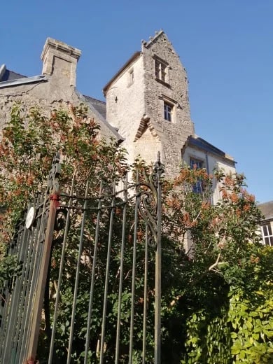 François G.'s gallery