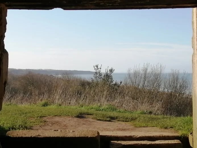 François G.'s gallery