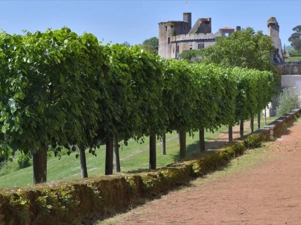 Clisson castle and La Garenne Lemot Parc - Half day private Tour from Nantes