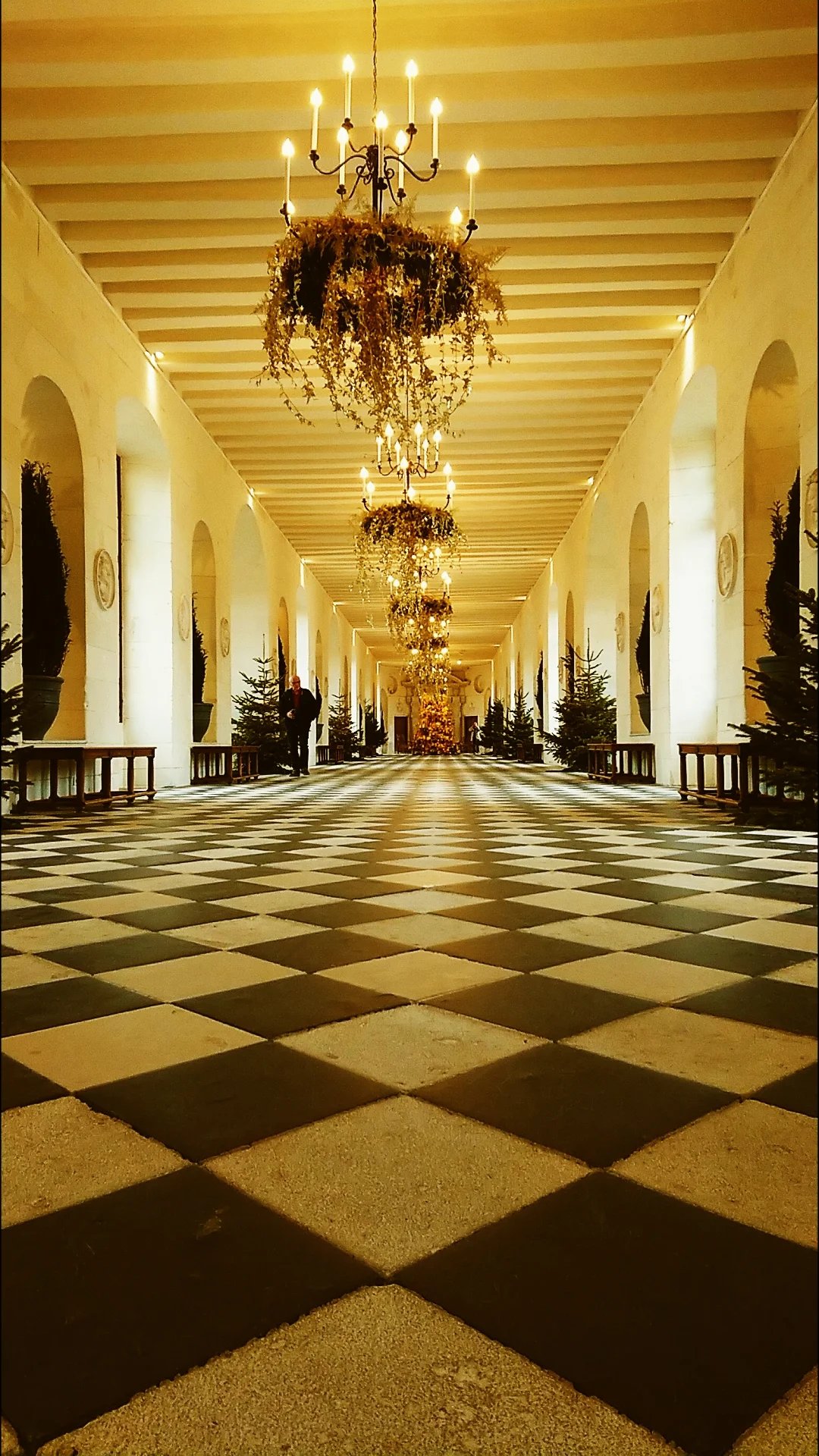 Cover media image