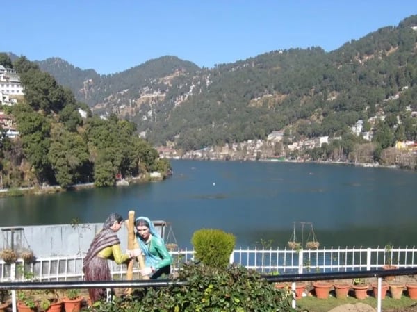 Cover media image
