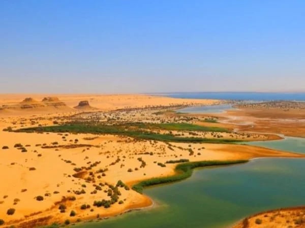 Unforgettable desert safari day at el Fayoum Oasis by 4×4