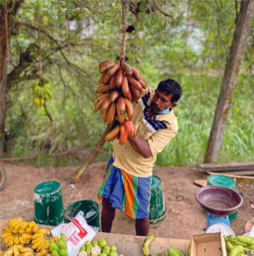 Ajith  W.'s gallery
