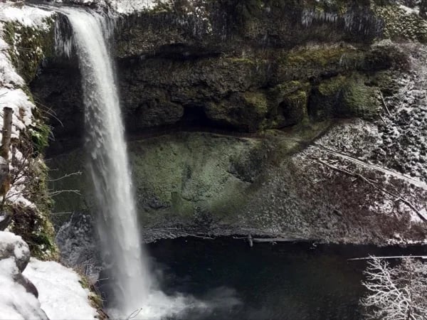 Full Day Silver Falls Hike and Wine Tour