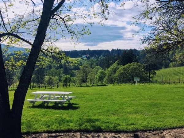 Willamette Valley Wine Tour from Cannon Beach