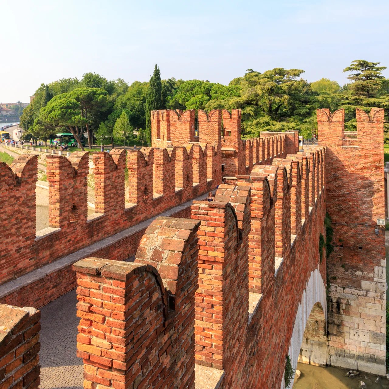 Cover media image