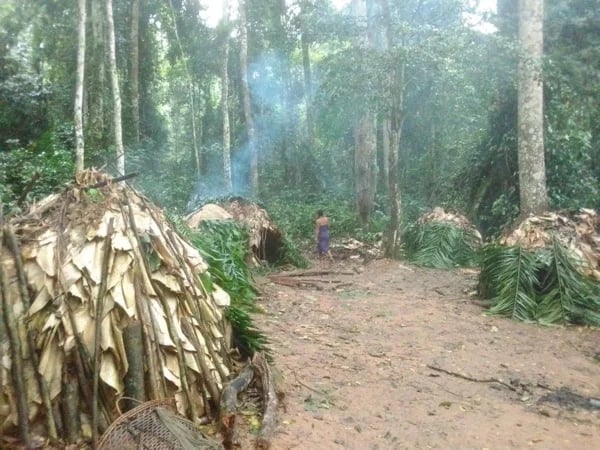 Dja Fauna Reserve - Multi Day Tour from Yaounde