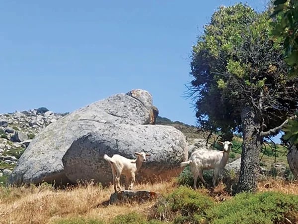Cover media image