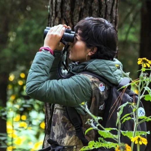 Birding