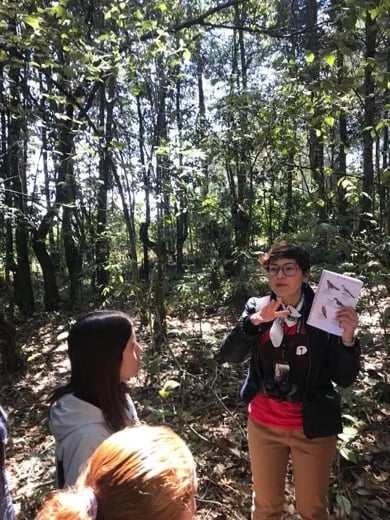 Talking about birds from Chiapas Highlands