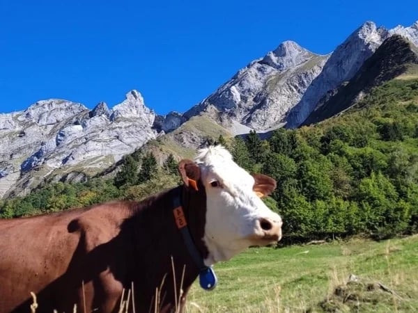 From Annecy to Aravis Mountain range, my love at first sight, Full Day Tour