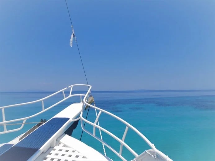 Cruise boat view..