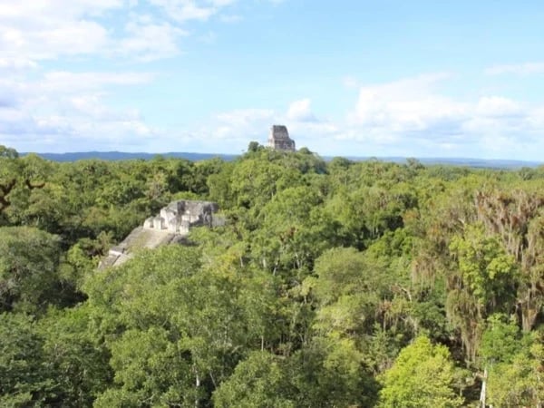 Tikal Archeological Site Private Half Day Tour