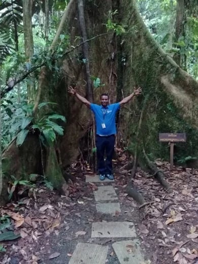 Welcome to the Jungle!