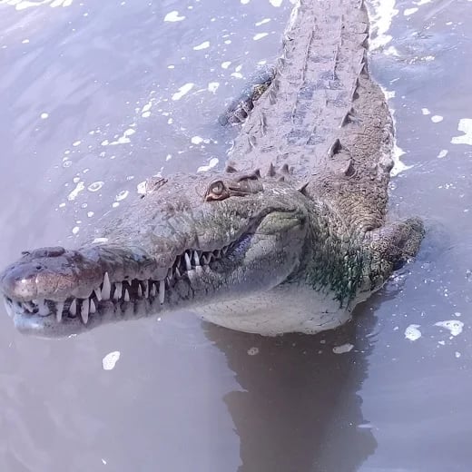Smiling for the photo