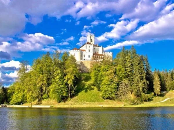 Cover media image