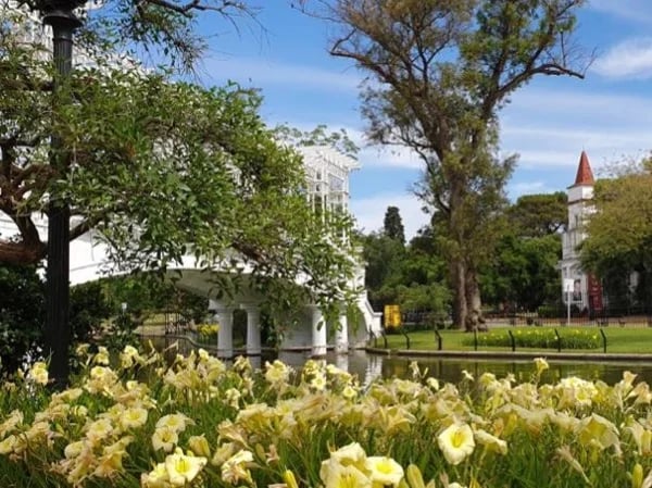 Cover media image