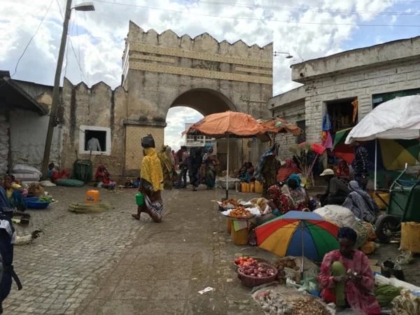 Multi-day Tour to Harar City and Awash National Park