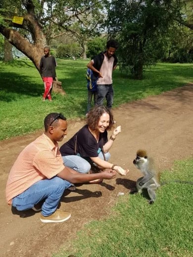 Lake Awassa, South Ethiopia. Feeding Vervet Monkey