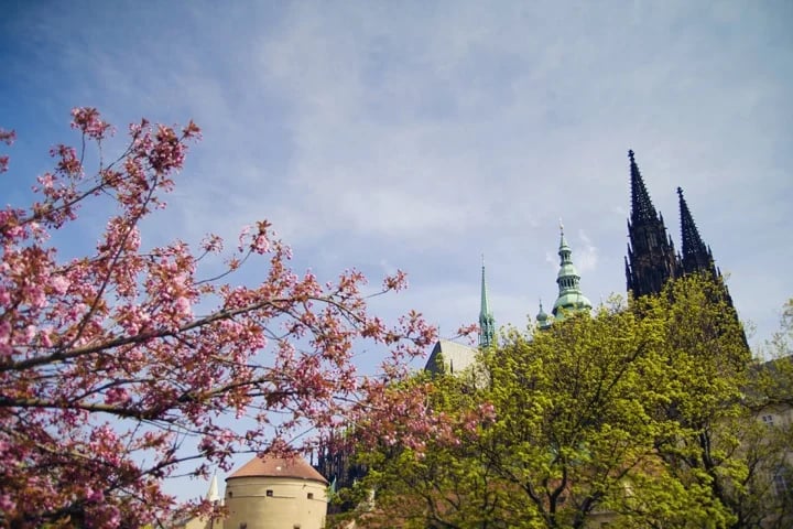 Let's start at the Castle, the seat of Czech rulers