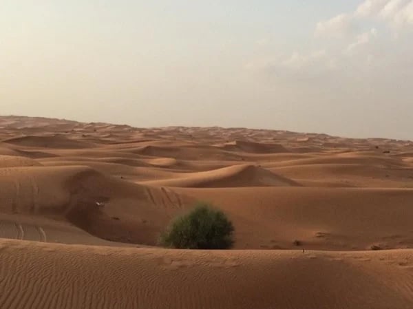 Adventure - Desert Safari Dinner