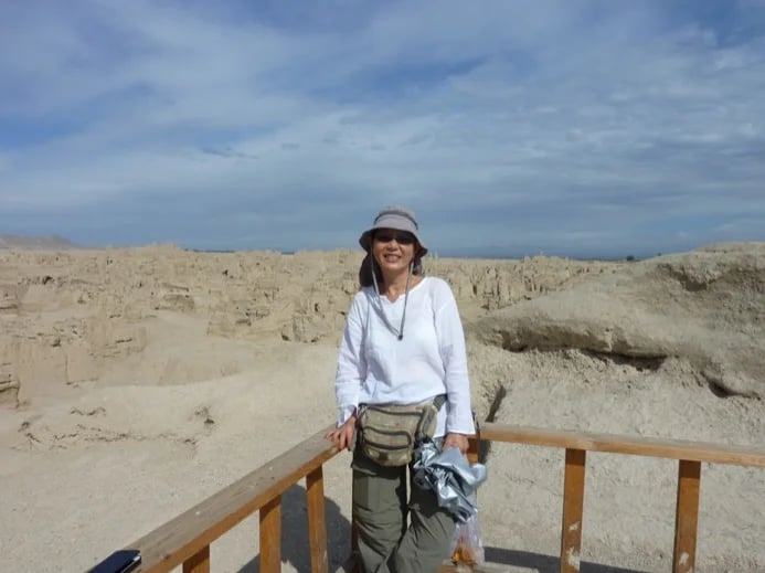 Silk Road 2015