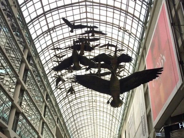 Half-day Toronto Walking Tour