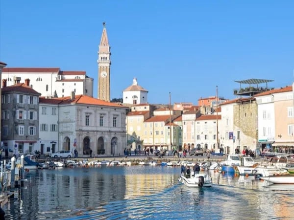 Cover media image