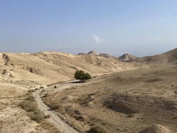 Full Day Judean desert to the River Jordan - Step on tour