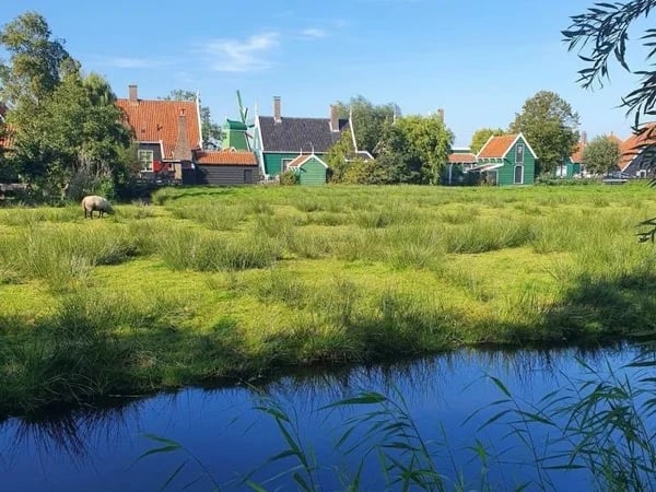 Cover media image