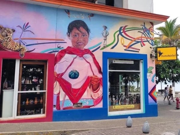 Discover the colors and flavors of Puerto Vallarta