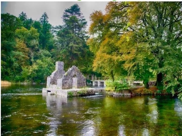 Westport Town and Surrounds - Private Tour