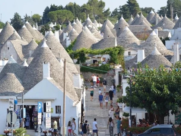 Taste the best that central Puglia has to offer, Private Tour from Monopoli