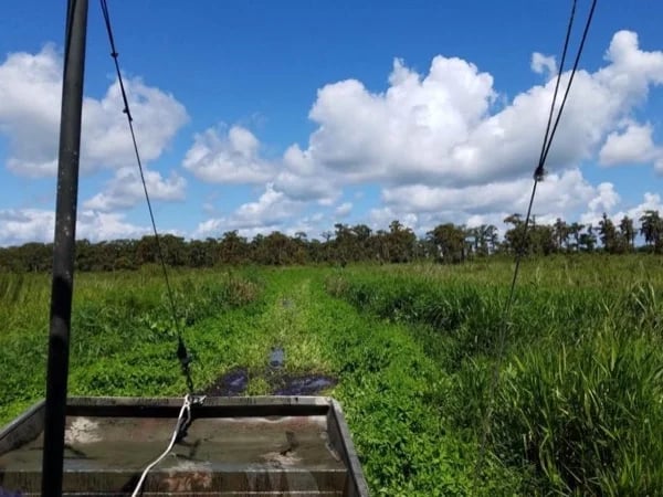 New Orleans Highlights City Tour with an Airboat Swamp Tour