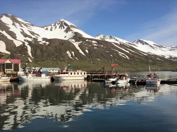Akureyri Town, Arctic Coastline and Local Food - Shore Excursion