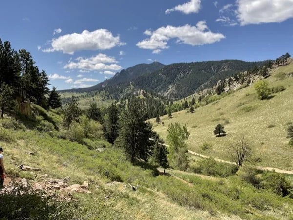 Historic Boulder Food and Culture Tour - Half Day