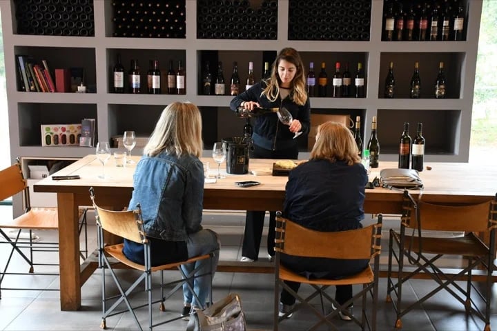 Wine Tasting In Nemea