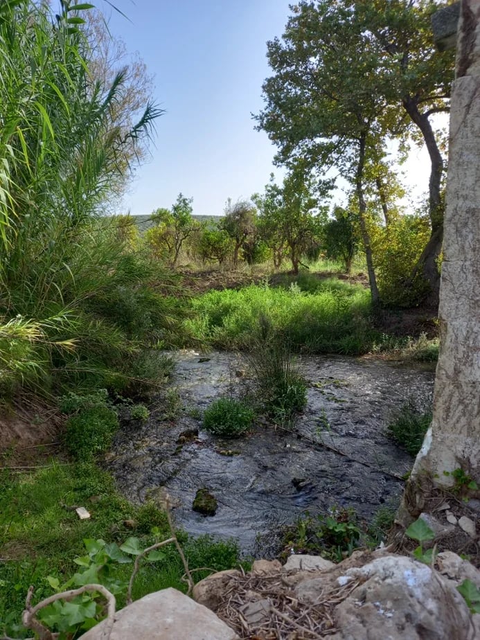 Kiliaris river green path Apokoronas